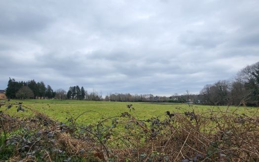 Building land on the edge of the forest