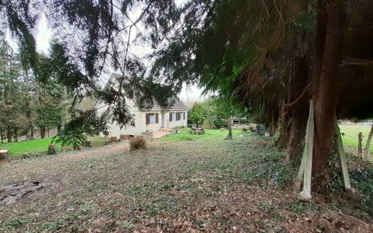 Near BEUZEVILLE and PONT AUDEMER detached house to renovate on 1ha of wooded land