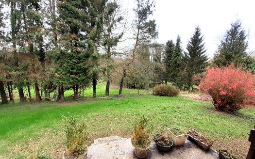 Near BEUZEVILLE and PONT AUDEMER detached house to renovate on 1ha of wooded land