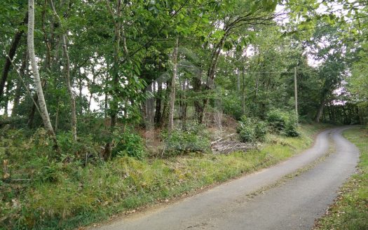 Wooded 2300 sqm Plot 15 Minutes from Sarlat – Périgord Noir