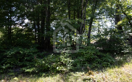 Wooded 2300 sqm Plot 15 Minutes from Sarlat – Périgord Noir