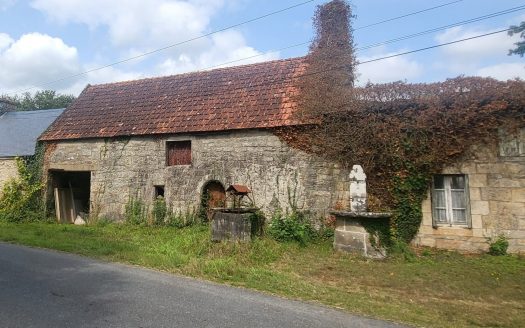 Stone house to renovate