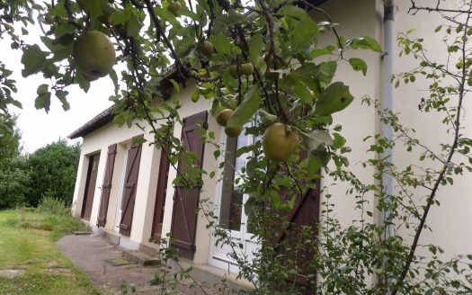 Au cœur de la Dordogne à Jumilhac Le Grand, belle maison et son joli terrain