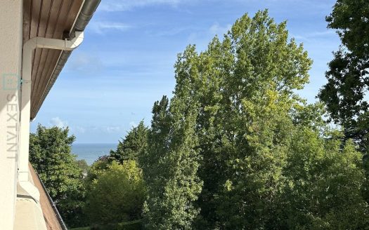 Seaside apartment with view