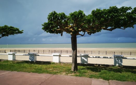 Très joli studio Saint Georges de Didonne centre, plage à 40 mètres