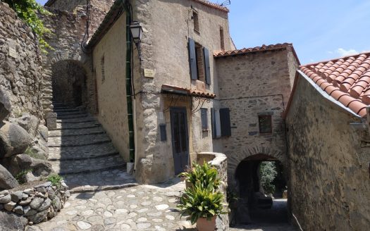 Stone built house with 2 apartments, terraces and garden