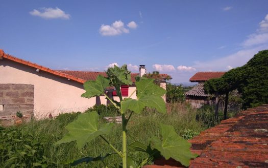 House in the village center with outbuildings and garden