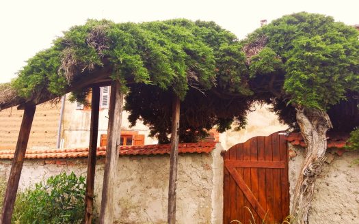 House in the village center with outbuildings and garden