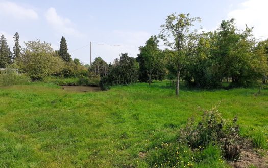 On the edge of the forest of ST GATIEN, building land