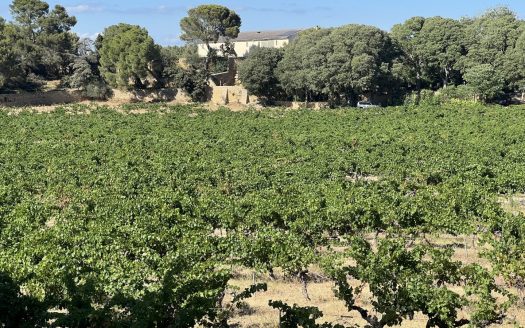 Wine estate made up of residential buildings, including a main bastide, farm buildings, land in kind with vines, woods, olive trees and truffle trees. The 18th century Provencal Ba