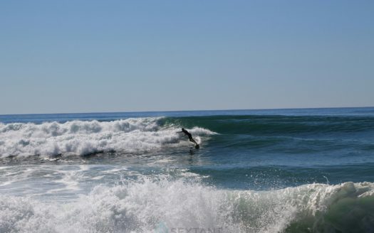 LANDES-  BEACH RESTAURANT BRASSERIE WITH FULL LIQUOR LICENCE