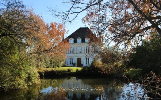 LARGE FAMILY MANSION HOUSE