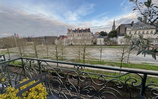 Superb apartment right in the heart of Nantes