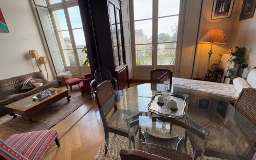 Superb apartment right in the heart of Nantes