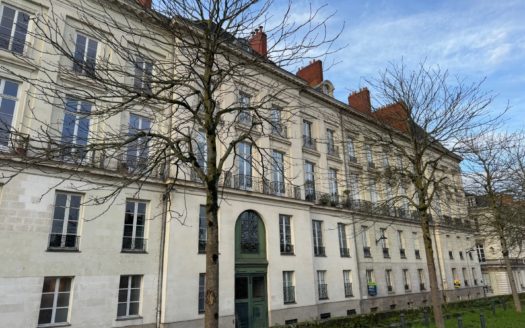 Superb apartment right in the heart of Nantes