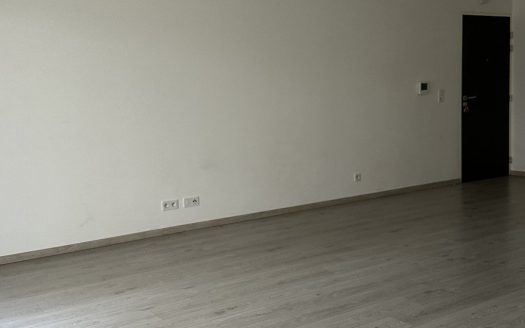 Ground floor apartment