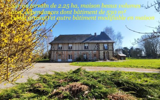 20 min South of Lisieux and 15 min from Bernay, a stone&apos;s throw from a small town with all shops, schools and colleges, beautiful property