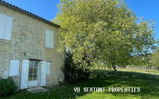 Entre-Deux -Mers, 1.2 hectare, charming house with swimming pool